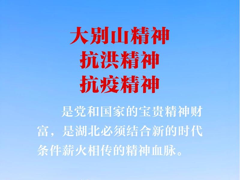 <a href="./xwzx/gzdt/202506/t20250603_706893.html">大力弘扬大别山精神、抗洪精神、抗疫精神，广泛践行社会主义核心价值观</a>