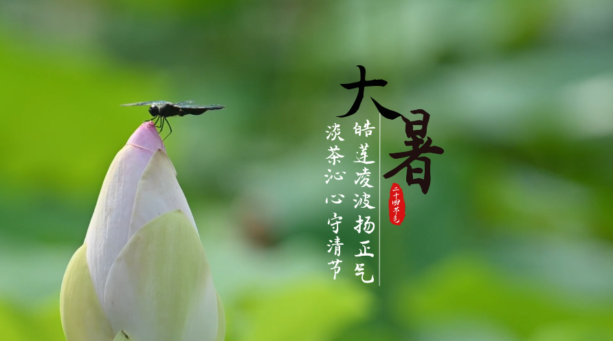 <a href="./xwzx/gzdt/202508/t20250801_717086.html">大暑：皓莲凌波扬正气,淡茶沁心守清节</a>