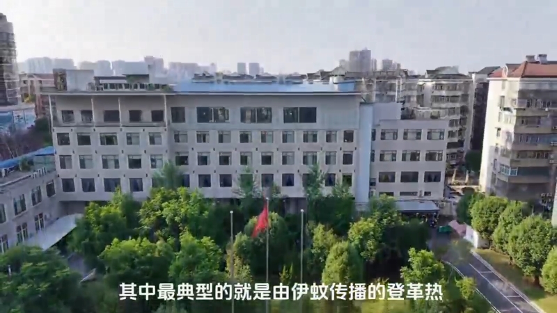 <a href="./xwzx/gzdt/202508/t20250807_717843.html">2025年基孔肯雅热宣传视频</a>